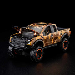 HWC Special Editions '17 Ford Raptor