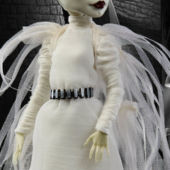 Frankenstein & Bride of Frankenstein Monster High Skullector Doll Set